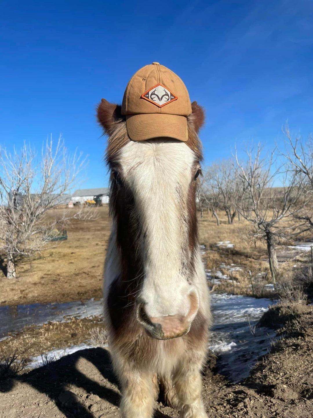 Hey Ya'll! I'm thrilled to share a little about us, our family, and our Ranch!! - The Hufeisen-Ranch (WYO Wagyu)