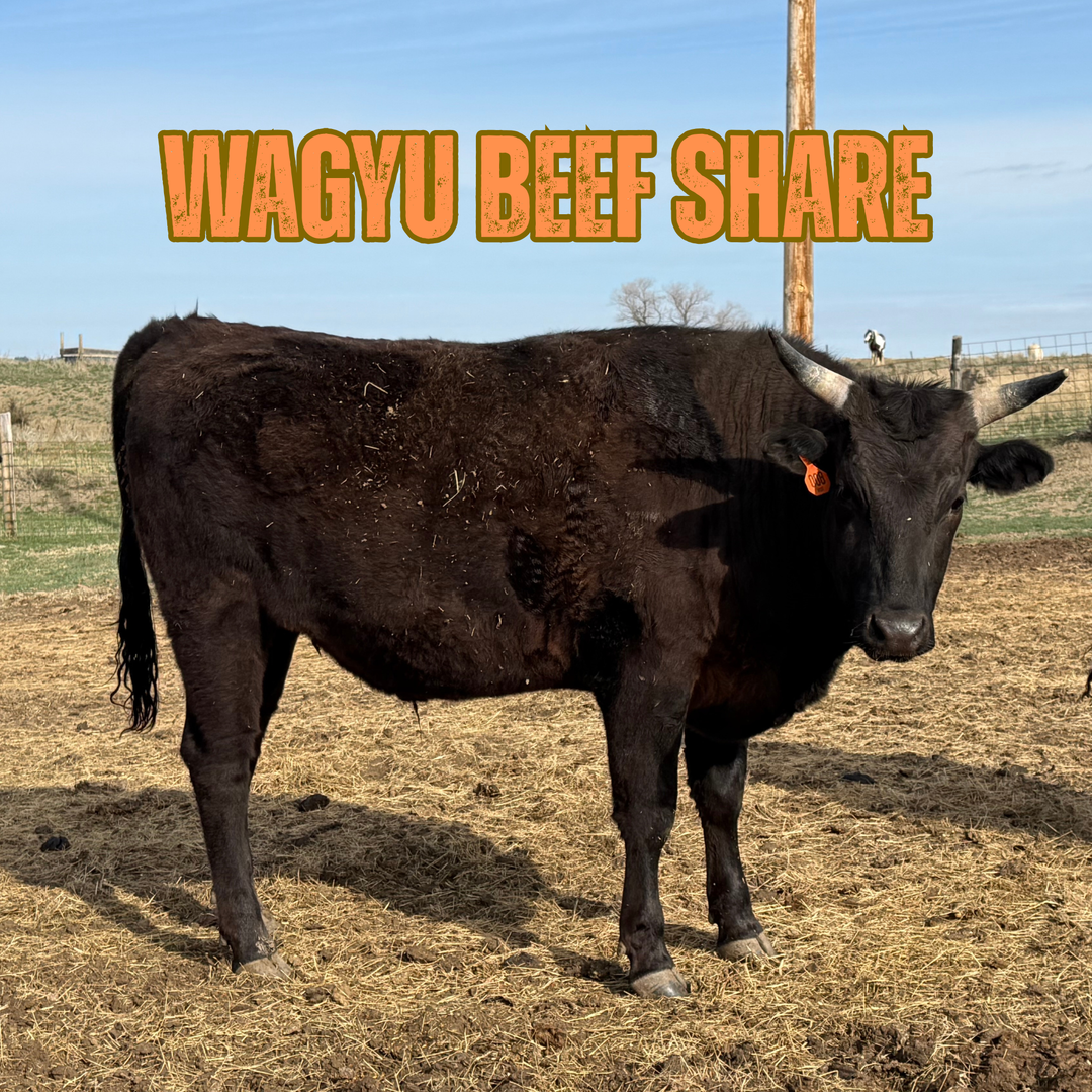 Wagyu Beef Share Deposit - 1/4, 1/2, or Whole