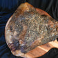Pre-Smoked Wagyu Brisket - The Hufeisen-Ranch (WYO Wagyu)
